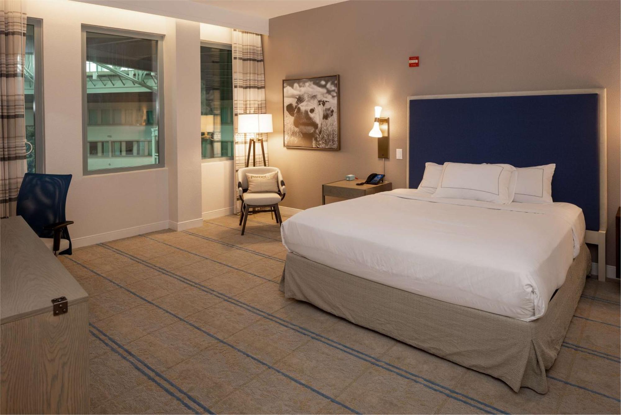 One-Bedroom King Suite,1551444688:JPEG