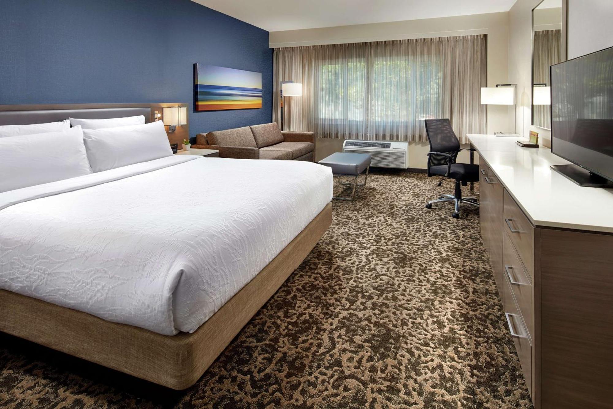 King Room Sofa Bed