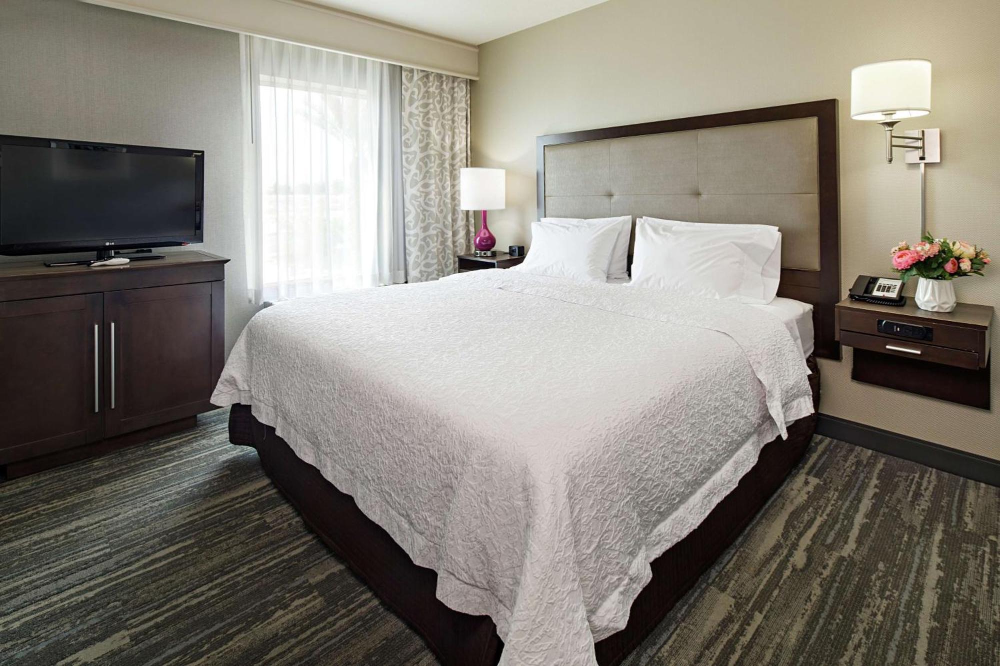 One-Bedroom King Suite Sofa Bed Non-Smoking