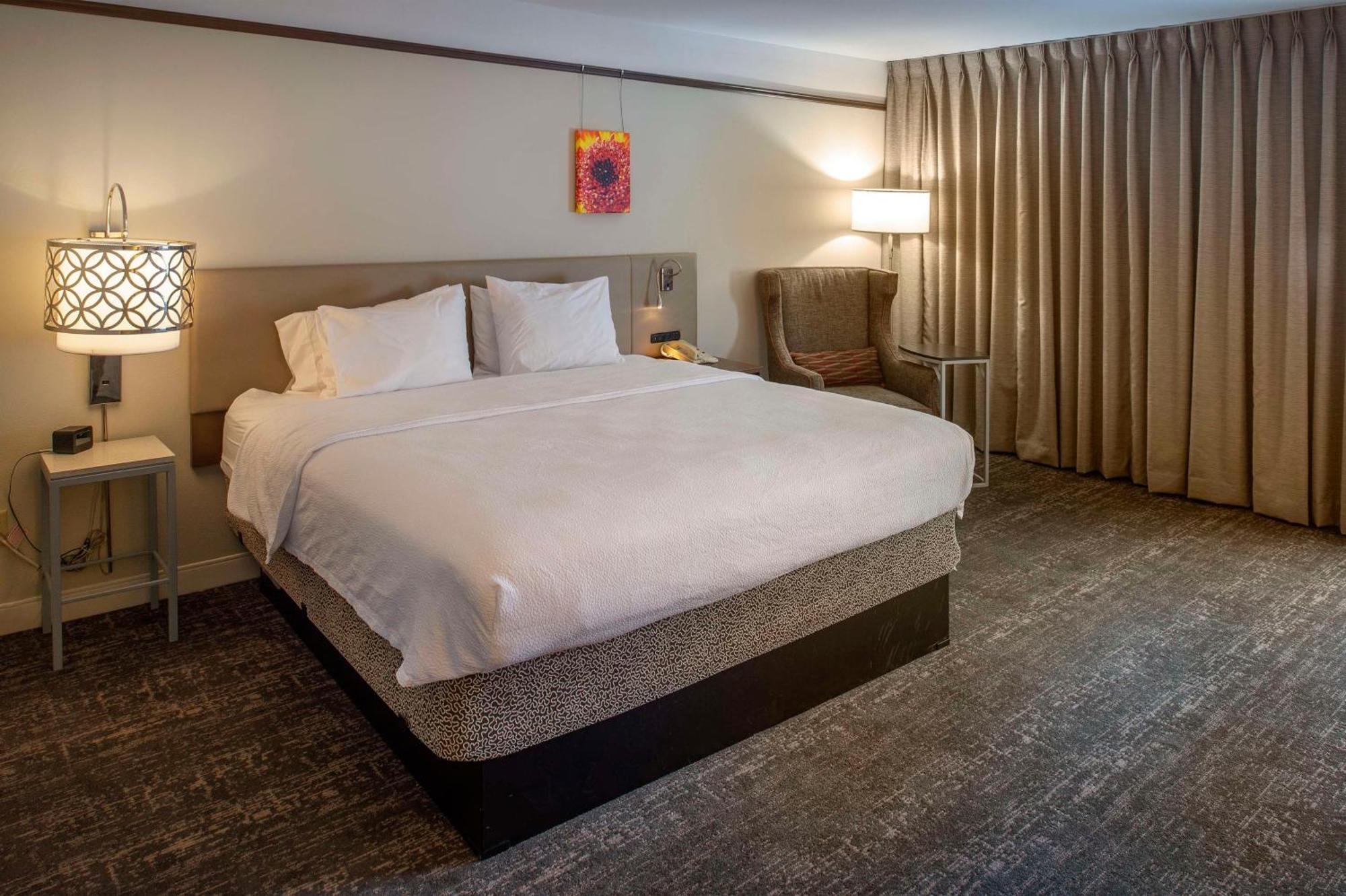 King Room Accessible Tub Mobility Access