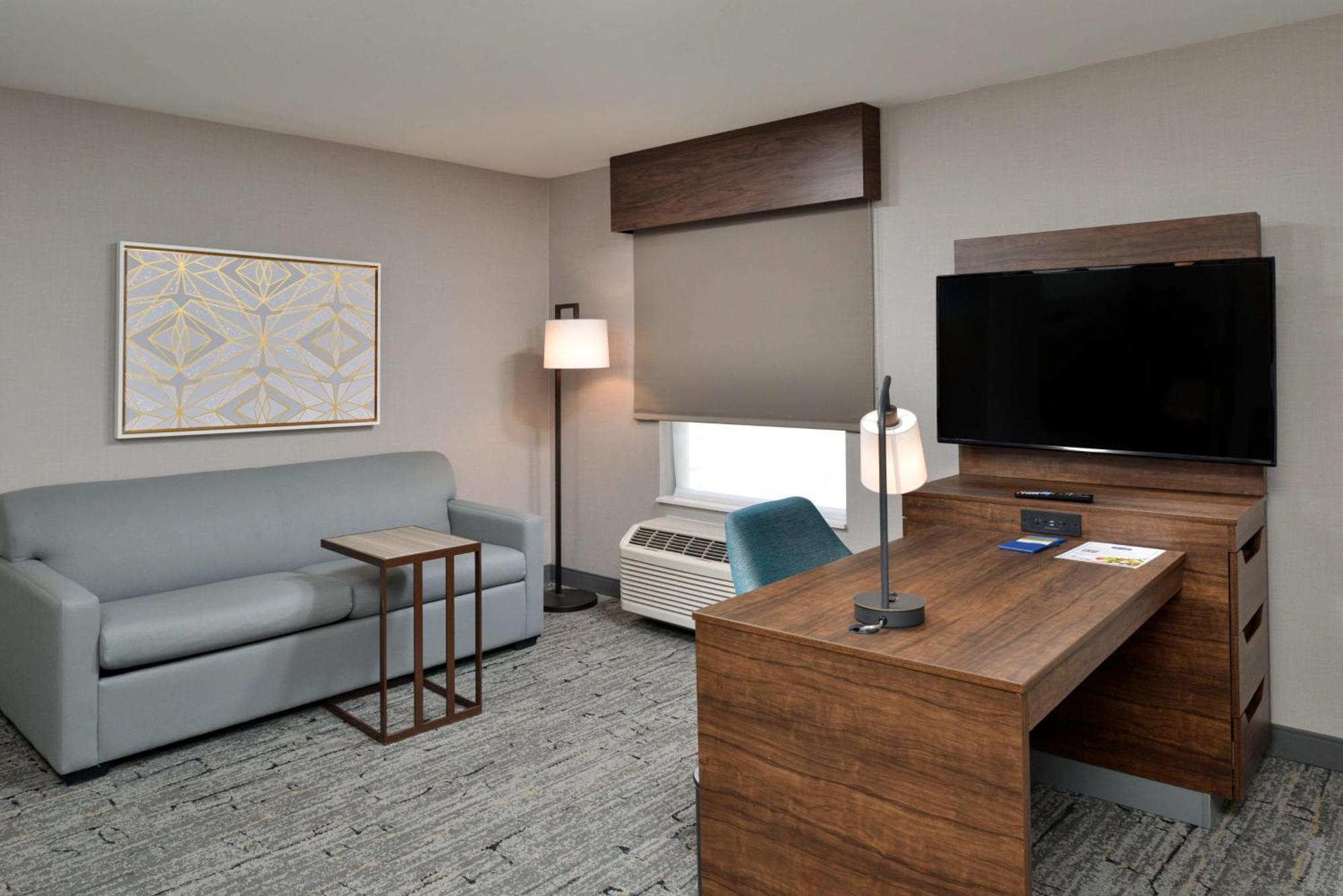 King Studio Suite Sofa Bed Non-Smoking