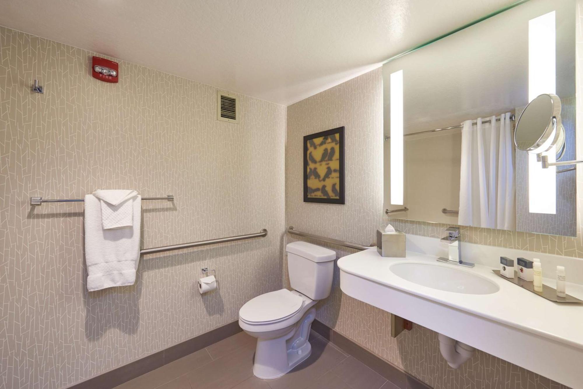 King Room Accessible Tub Mobility Hearing Access,1551662878:JPEG