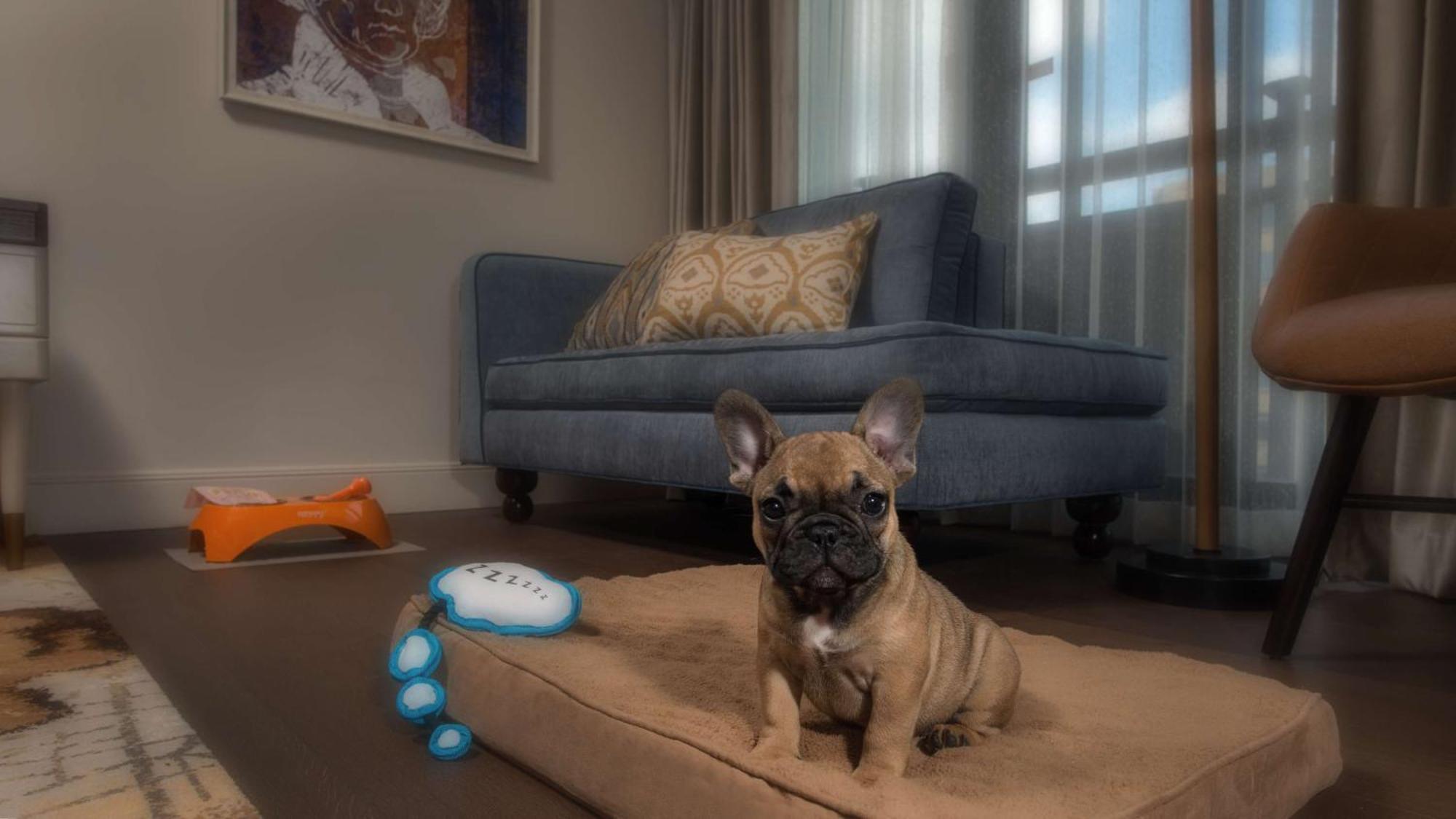 Premium King Room
