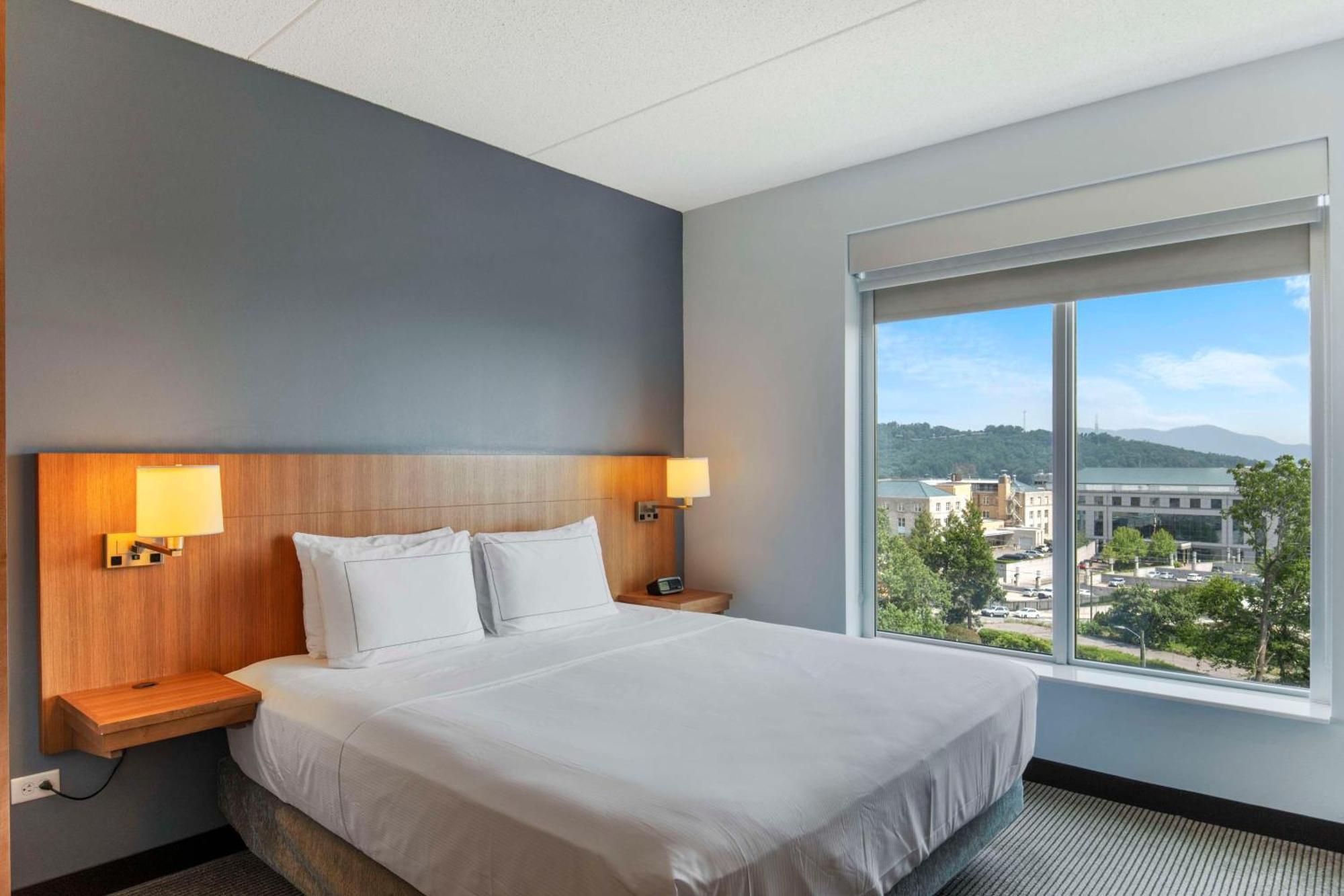 King Room Mountain View