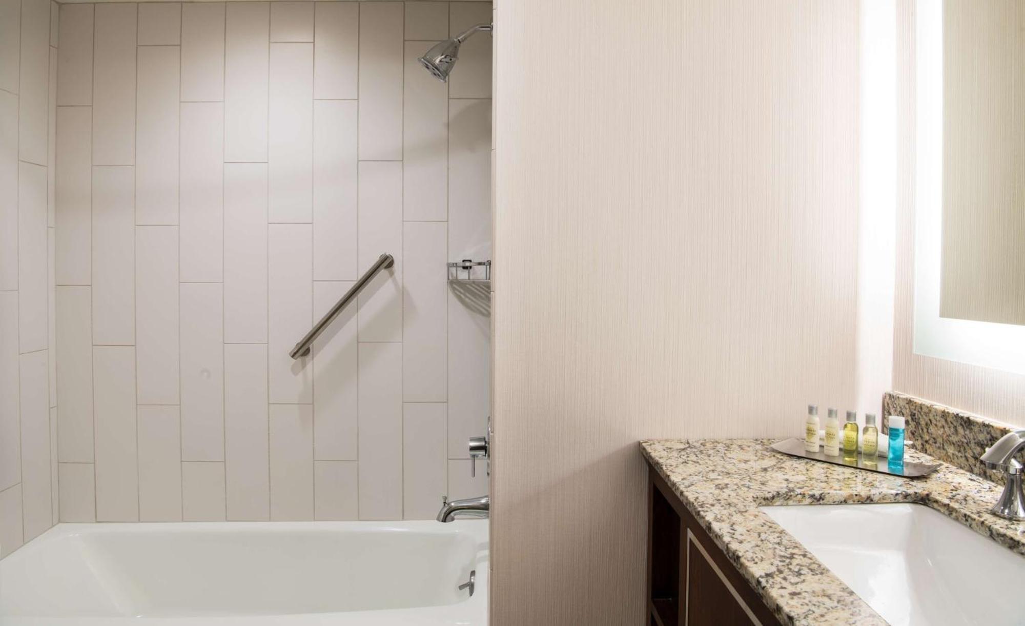 King Room Bath Tub Mobility Access