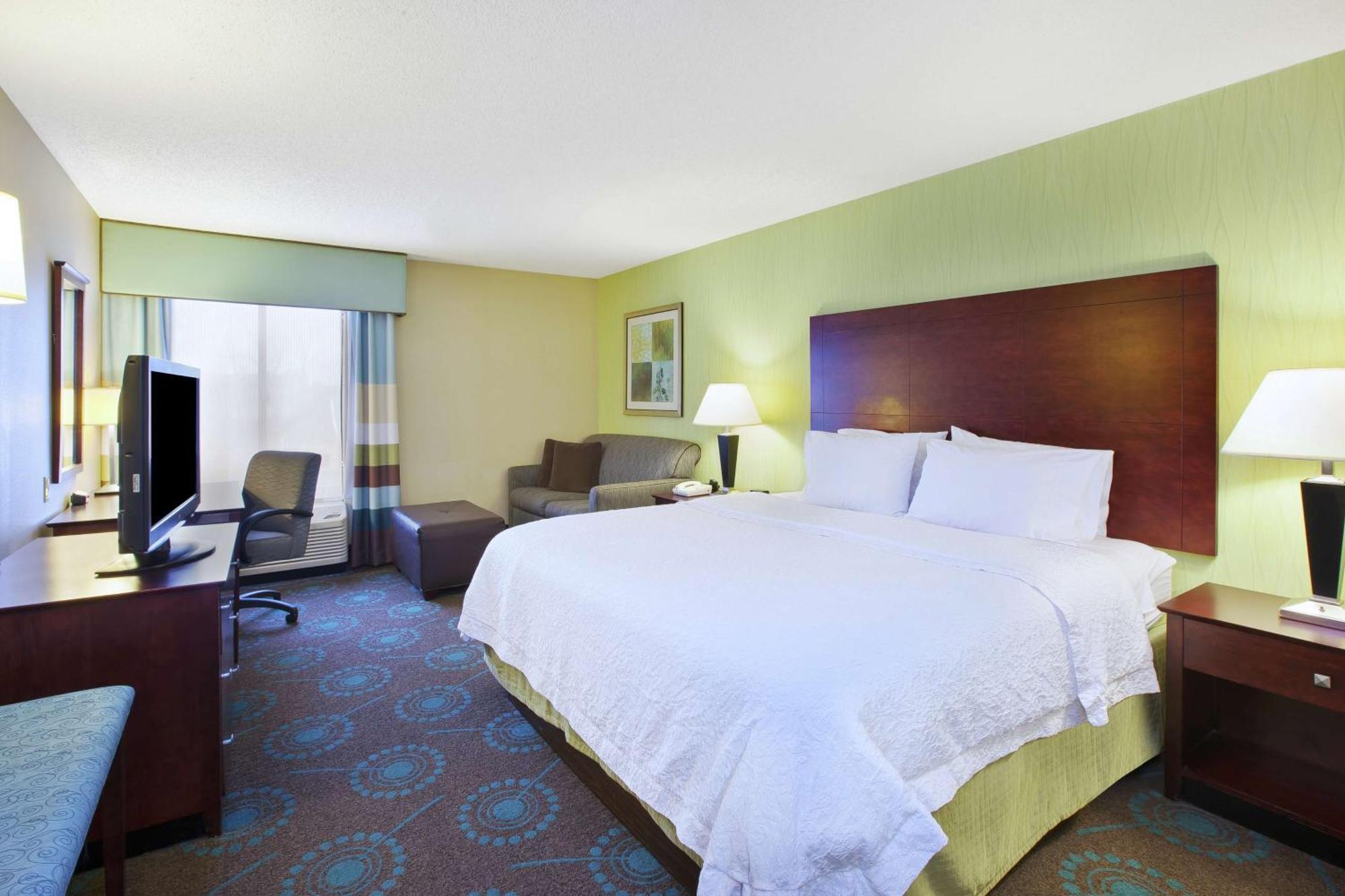 King Room Sofa Bed Hearing Accessible or Non-Smoking