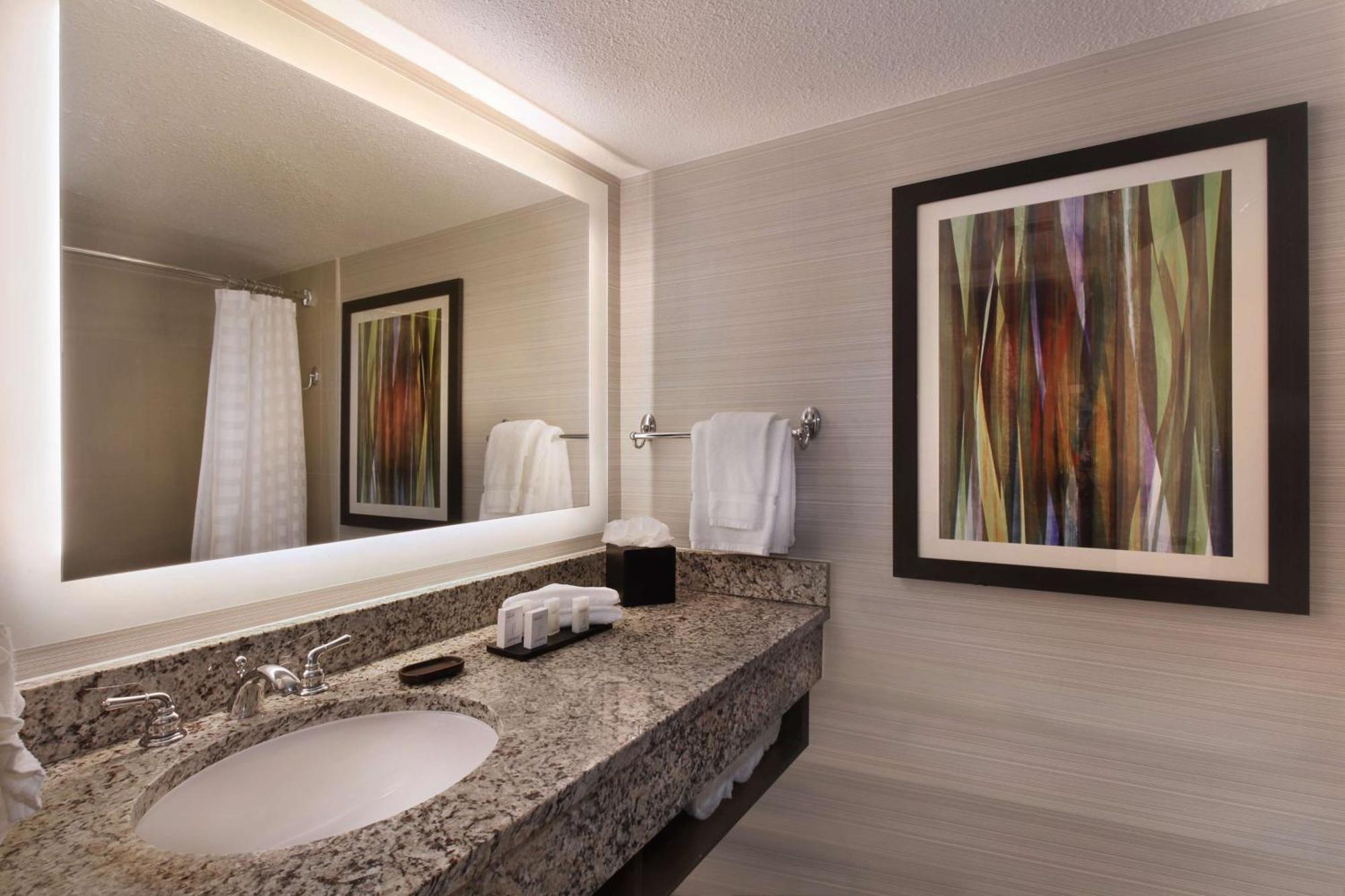 Two-Room King Suite Non-Smoking