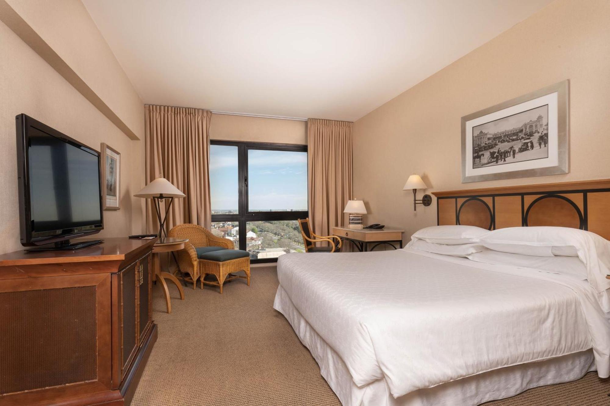 Guest room 1 King City view