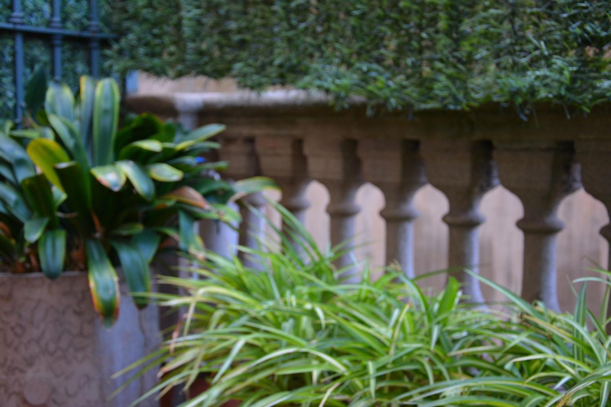 Superior Double or Twin Room Terrace