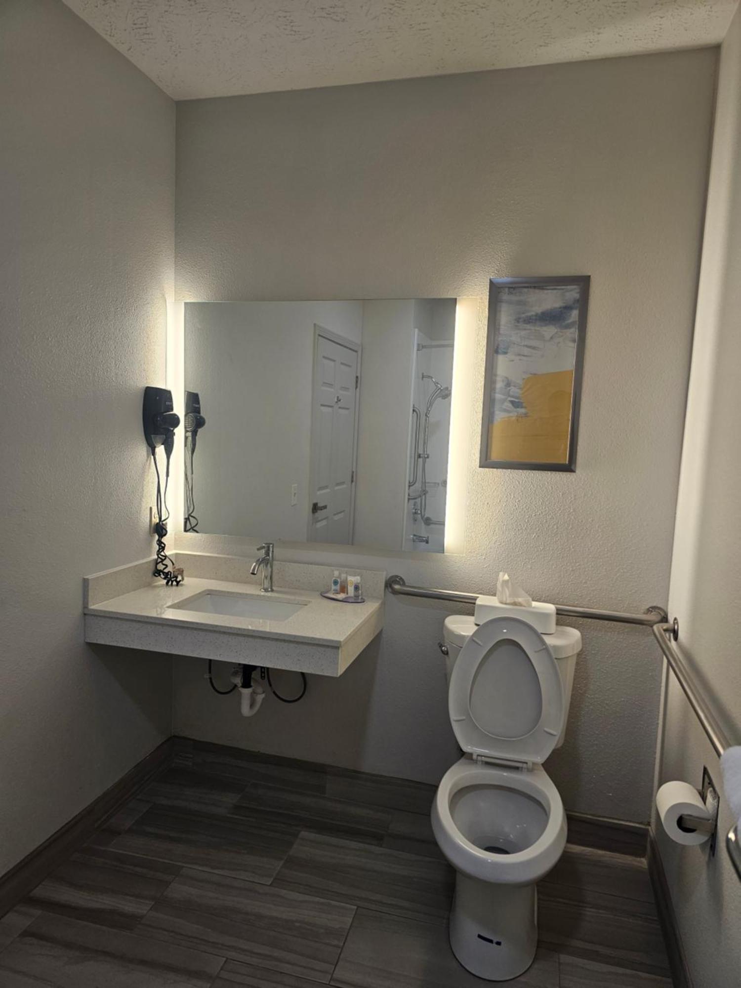 King Room Accessible or Non-Smoking
