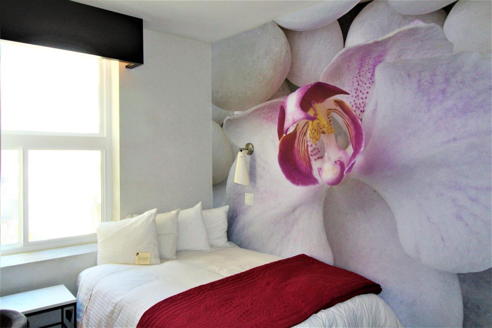 Double Room Non-Smoking