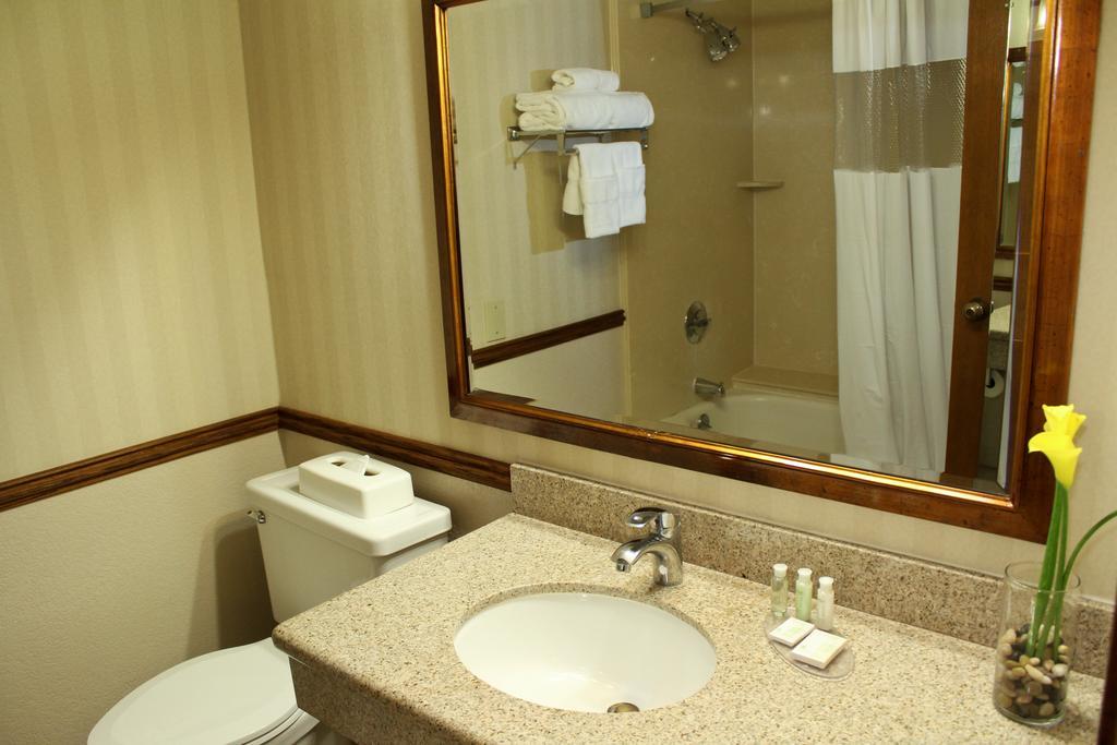 Executive King Suite,155526125:JPEG