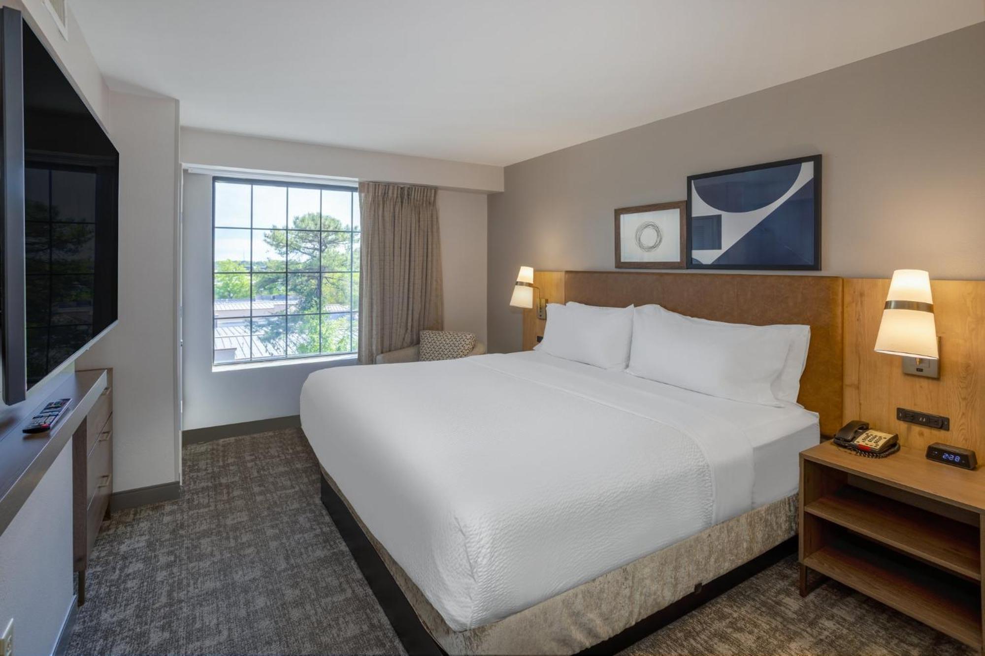 One-Bedroom King Suite,1555048666:JPEG