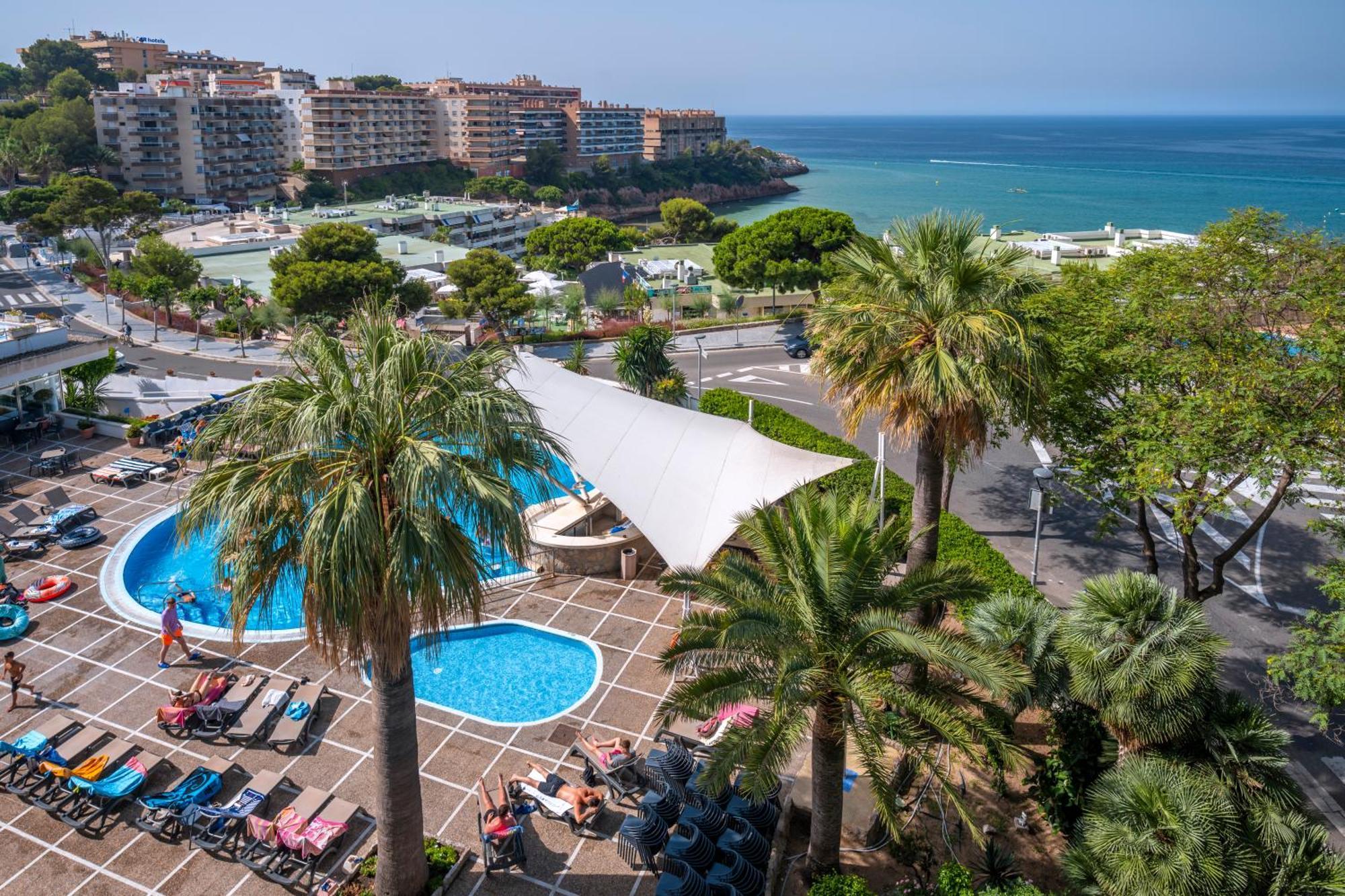 Suite Junior (2 adultos + 2 niños)