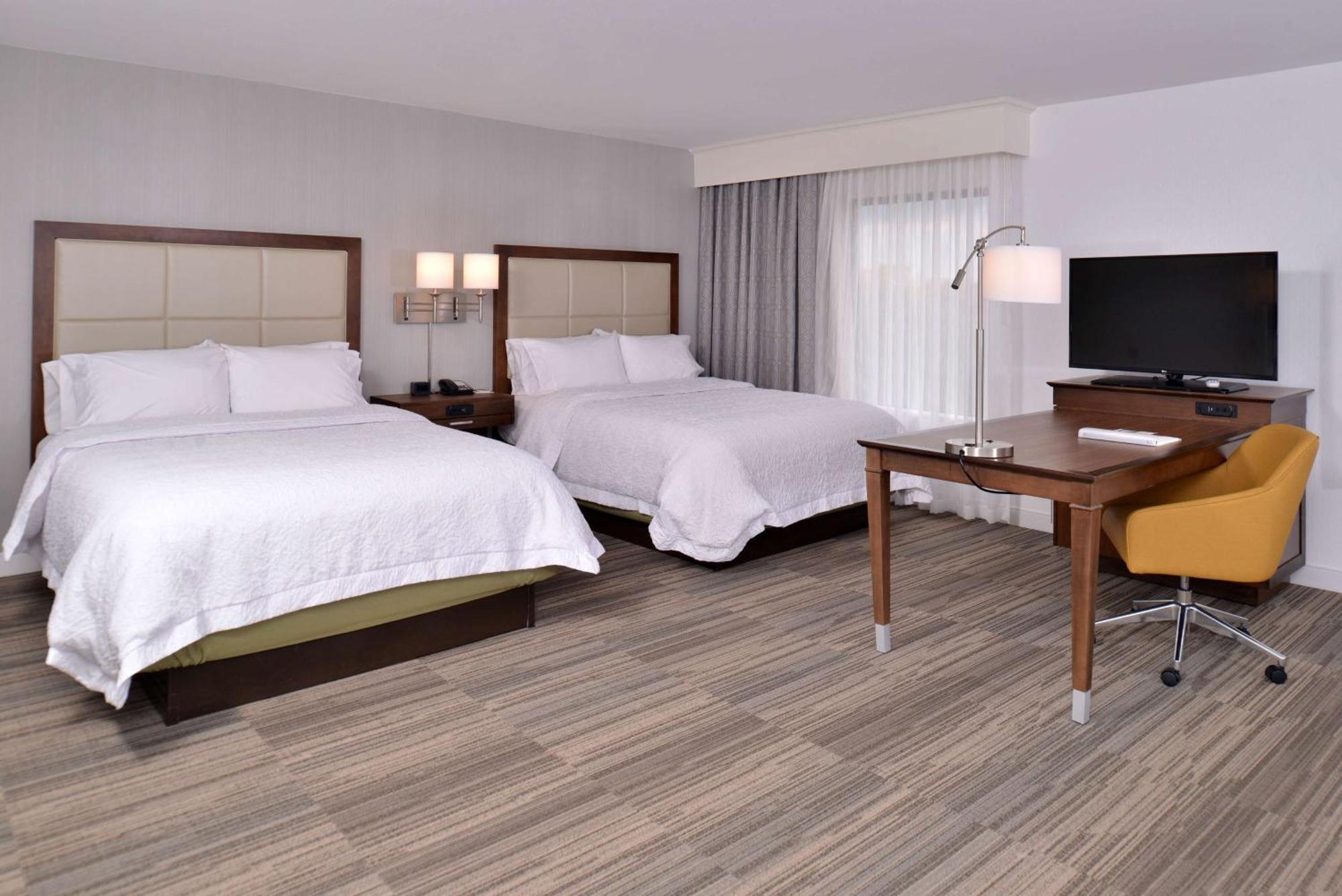 Queen Studio Suite Two Queen Beds Non-Smoking,1557415039:JPEG
