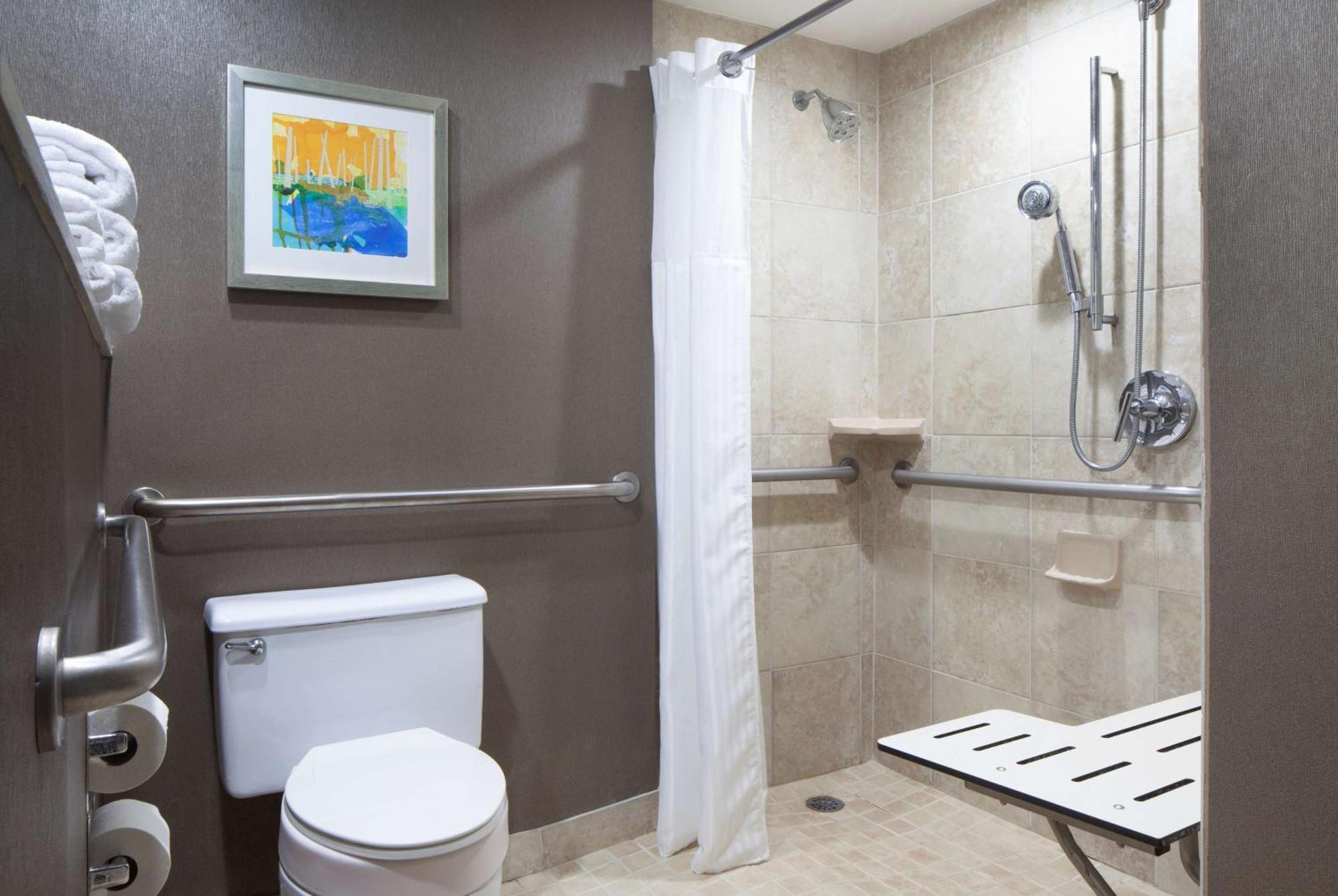 King Room Roll Shower Mobility Access