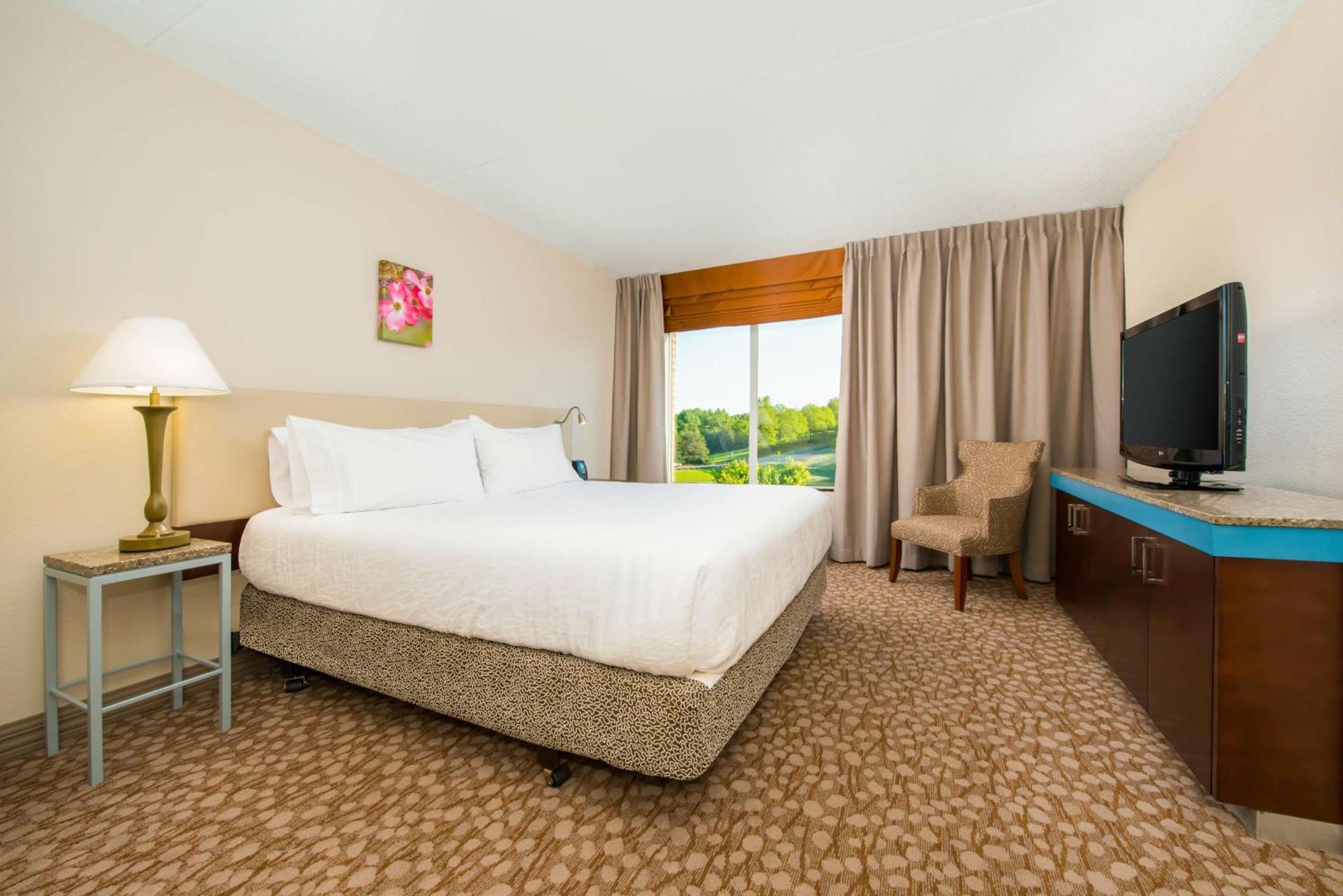 One-Bedroom King Suite