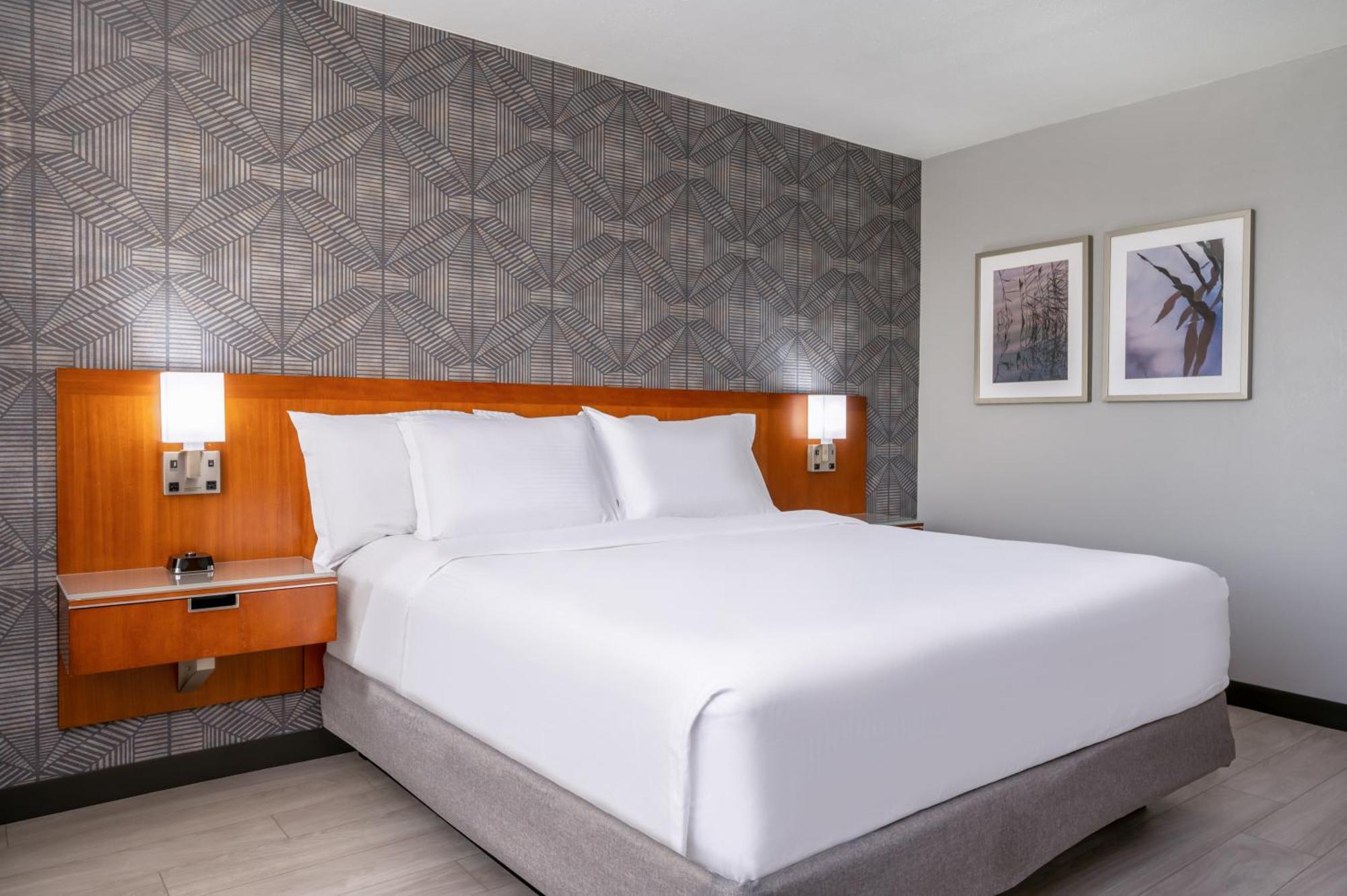 Premier King Room,1558083607:JPEG