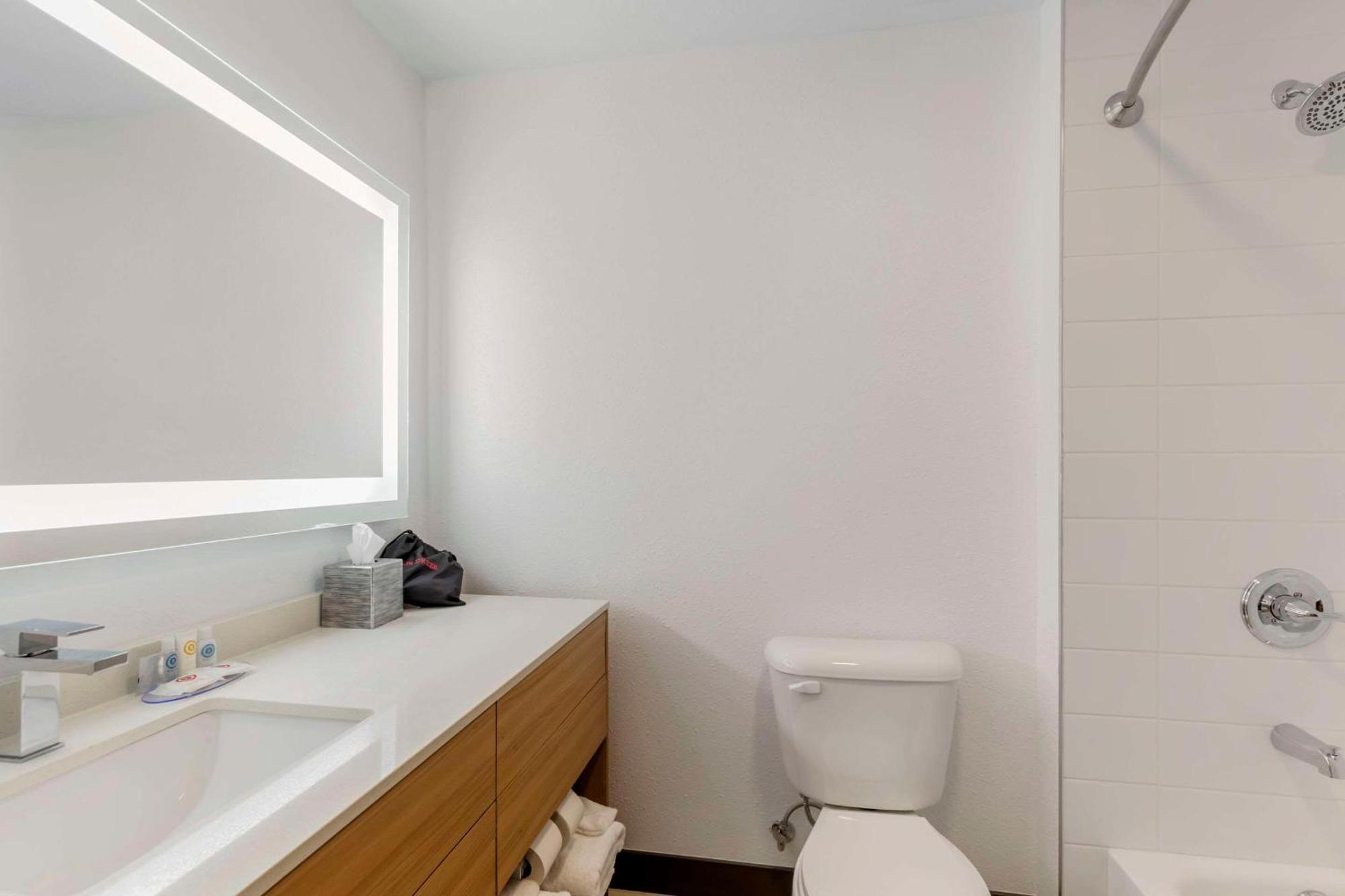 One Room Suite Sofa bed Disability Access or Non Smoking,1574762162:JPEG