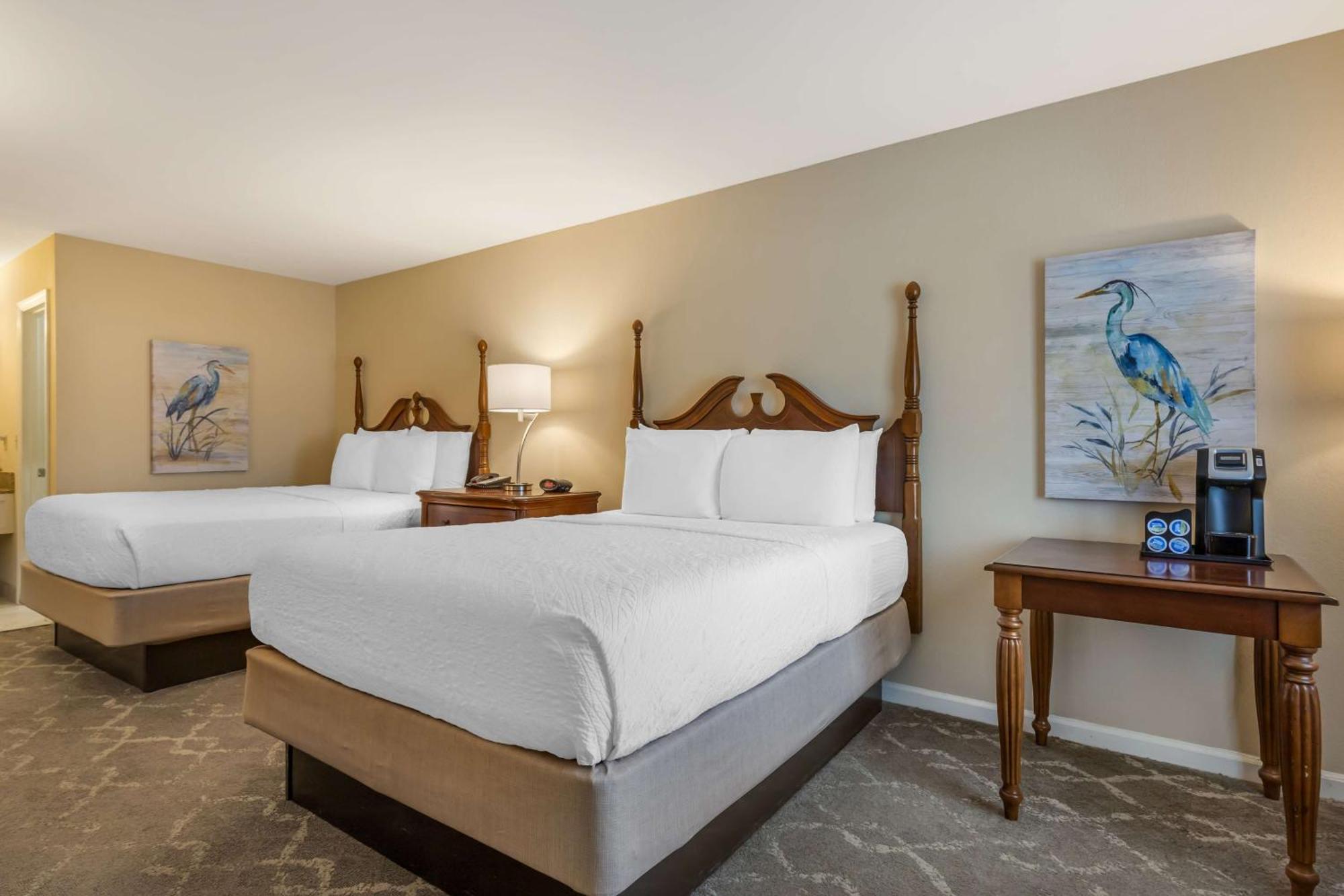 Queen Room Two Queen Beds Roll Shower Disability Access or Non-Smoking,1706471332:JPEG