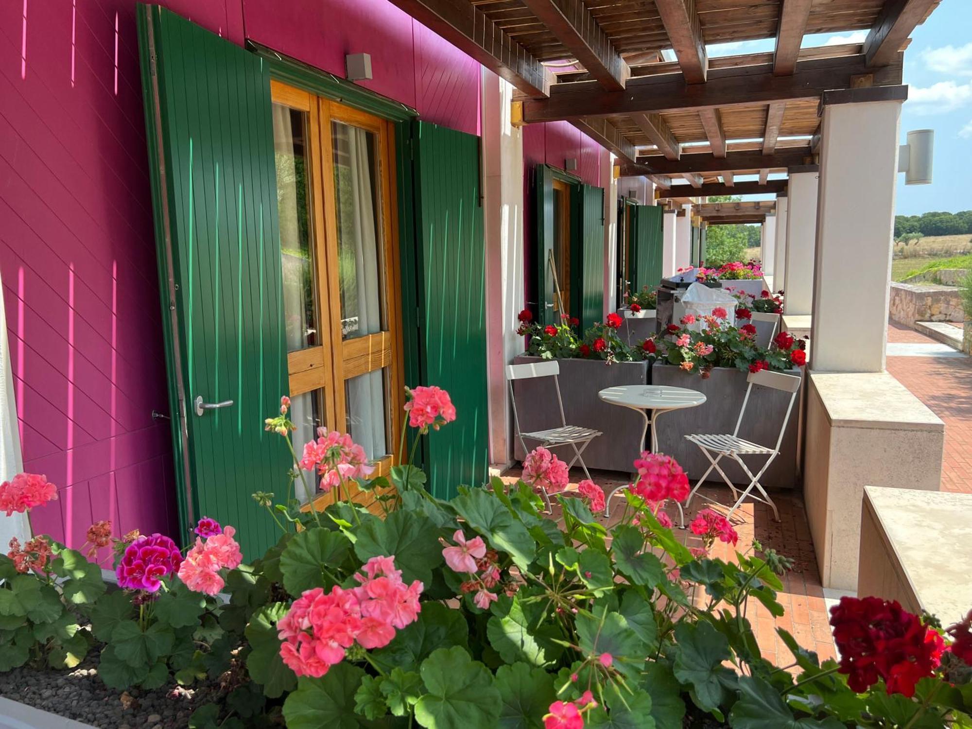 Family Room Terrace