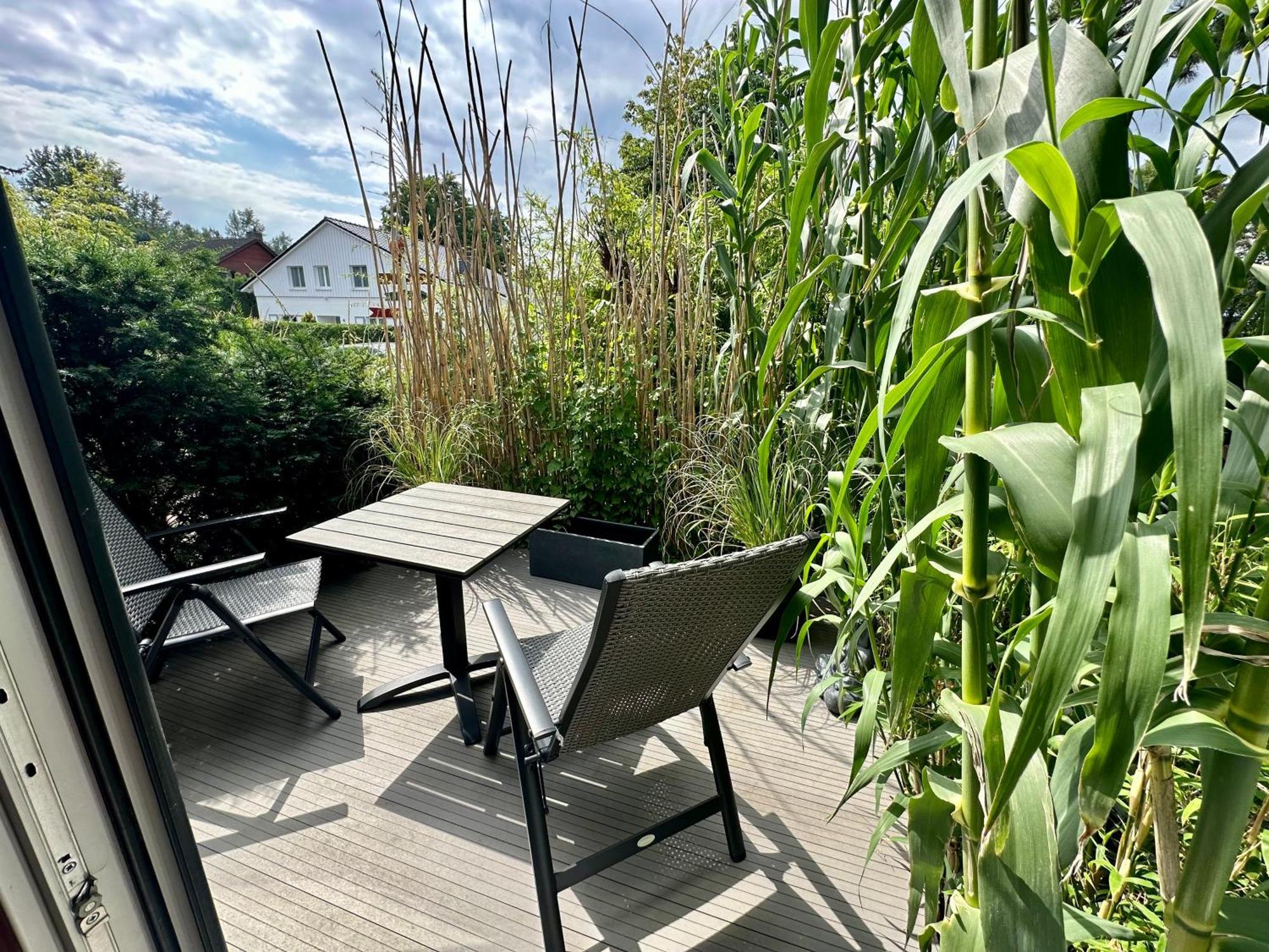 Studio Terrace,1580875613:JPEG