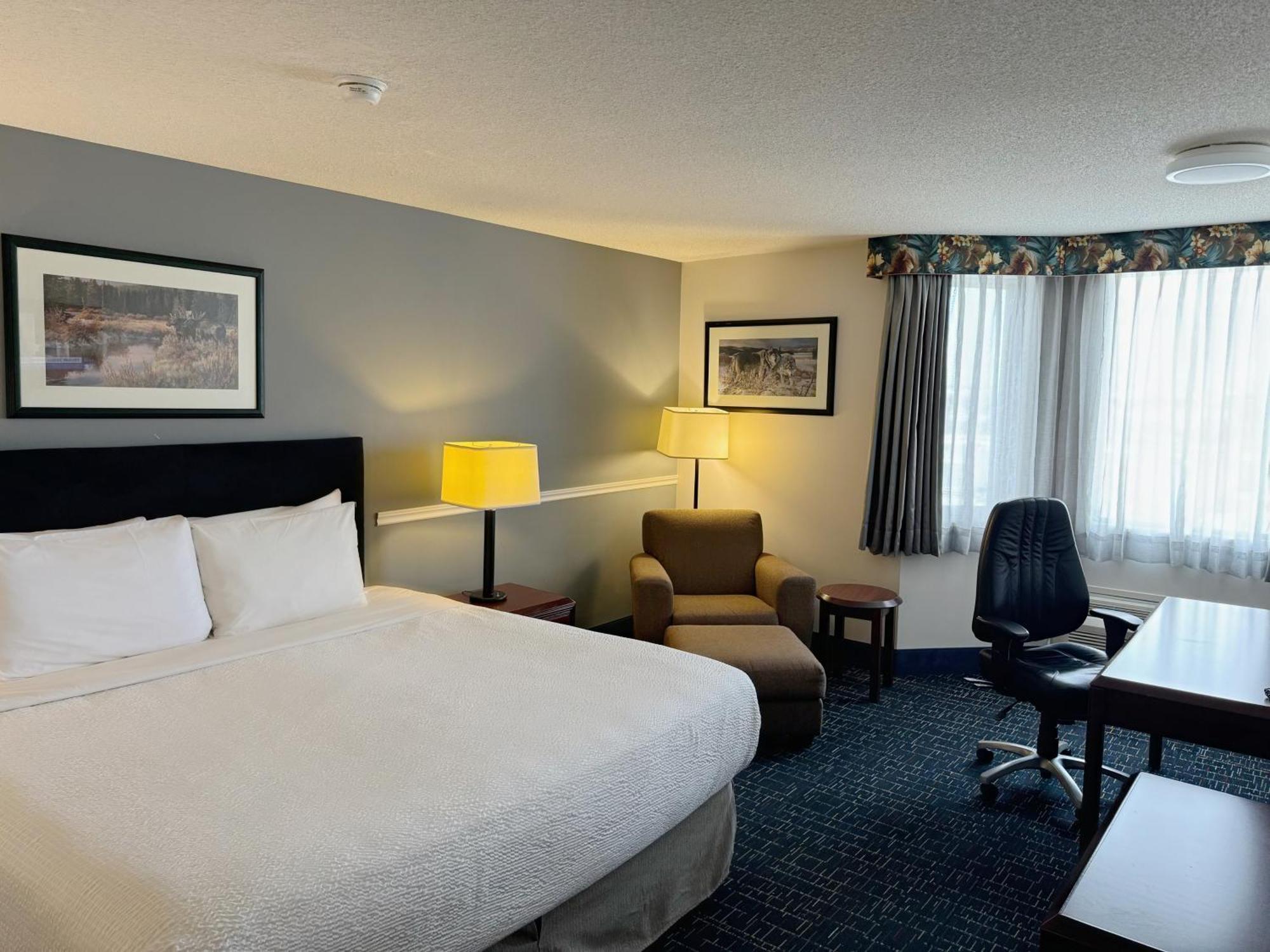Superior King Room,1583077685:JPEG