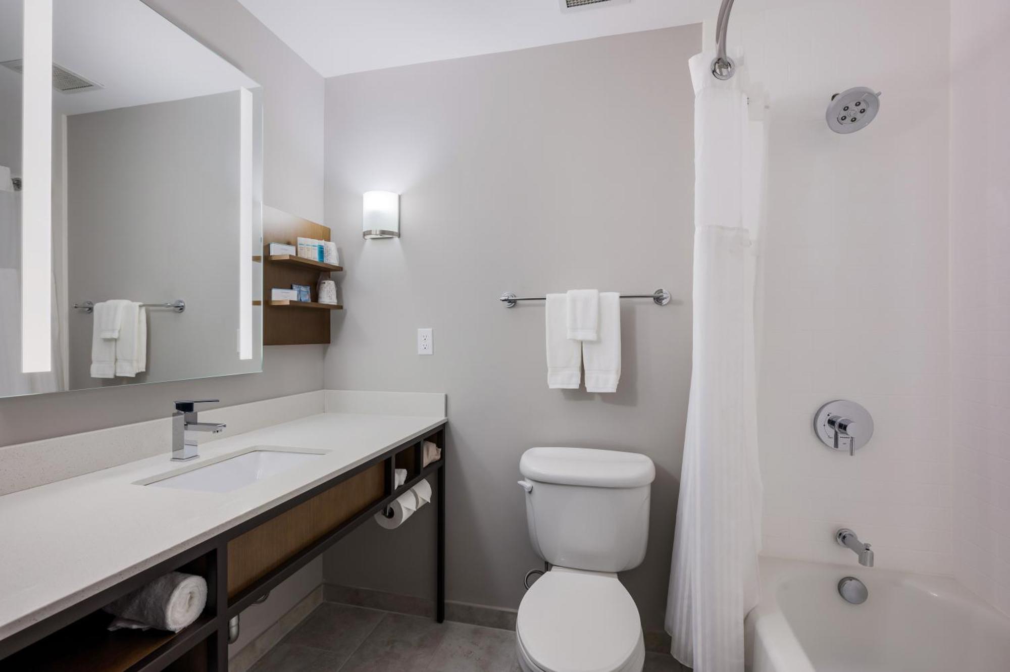 King Room Transfer Shower Mobility Access