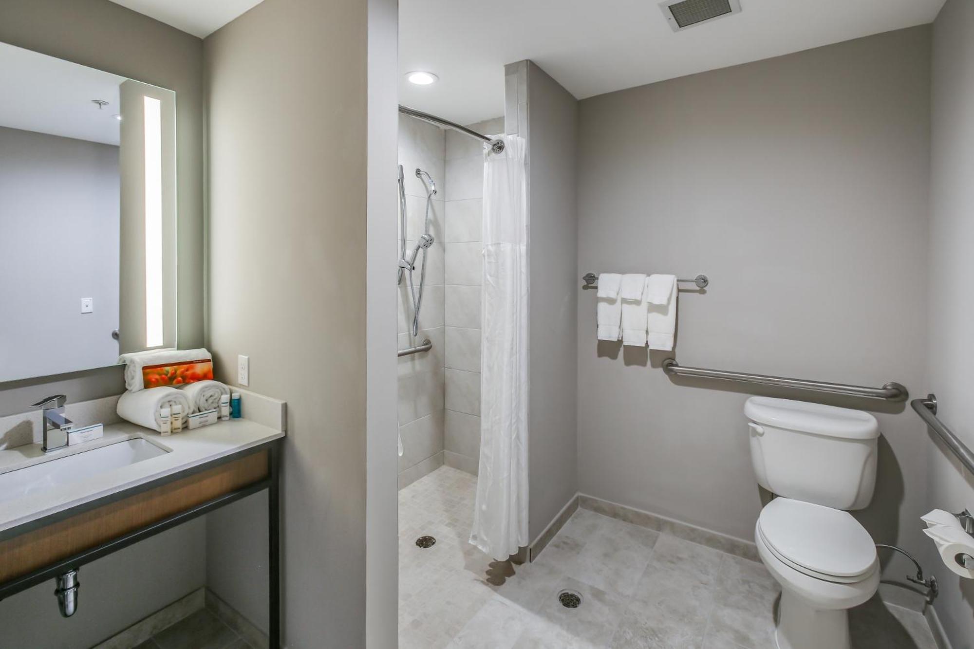 King Room Transfer Shower Mobility Access