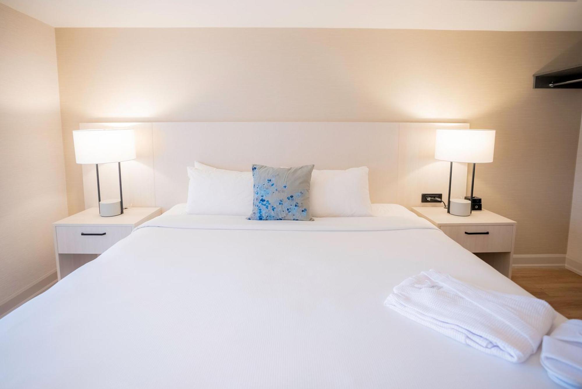 Modern One Bedroom Suite