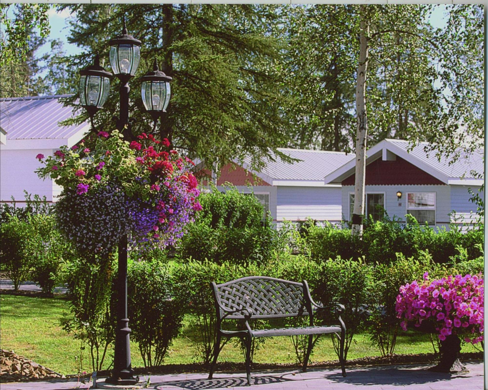 Cottage Garden View