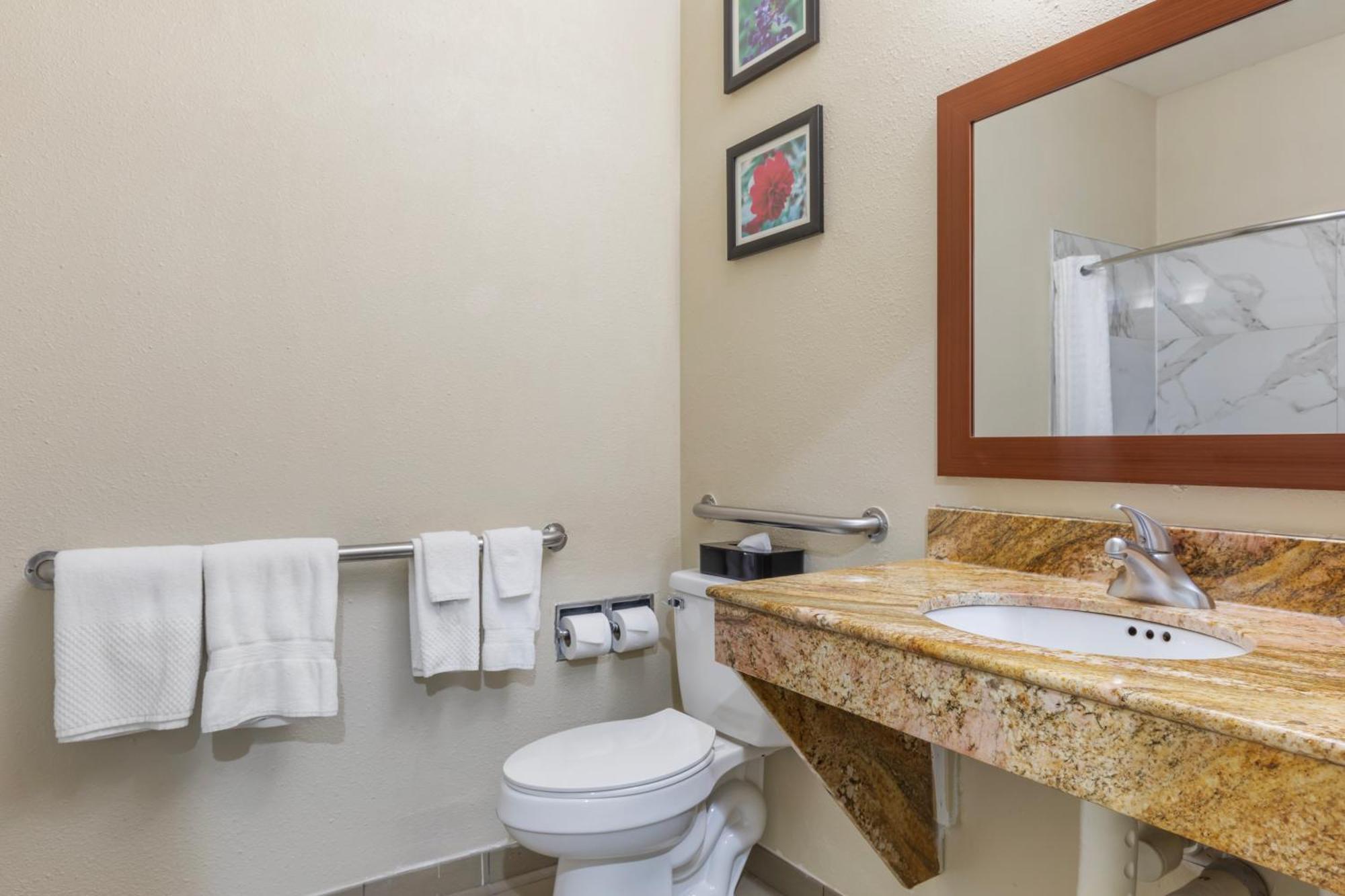 King Room with Roll-In Shower - Accessible/Non Smoking