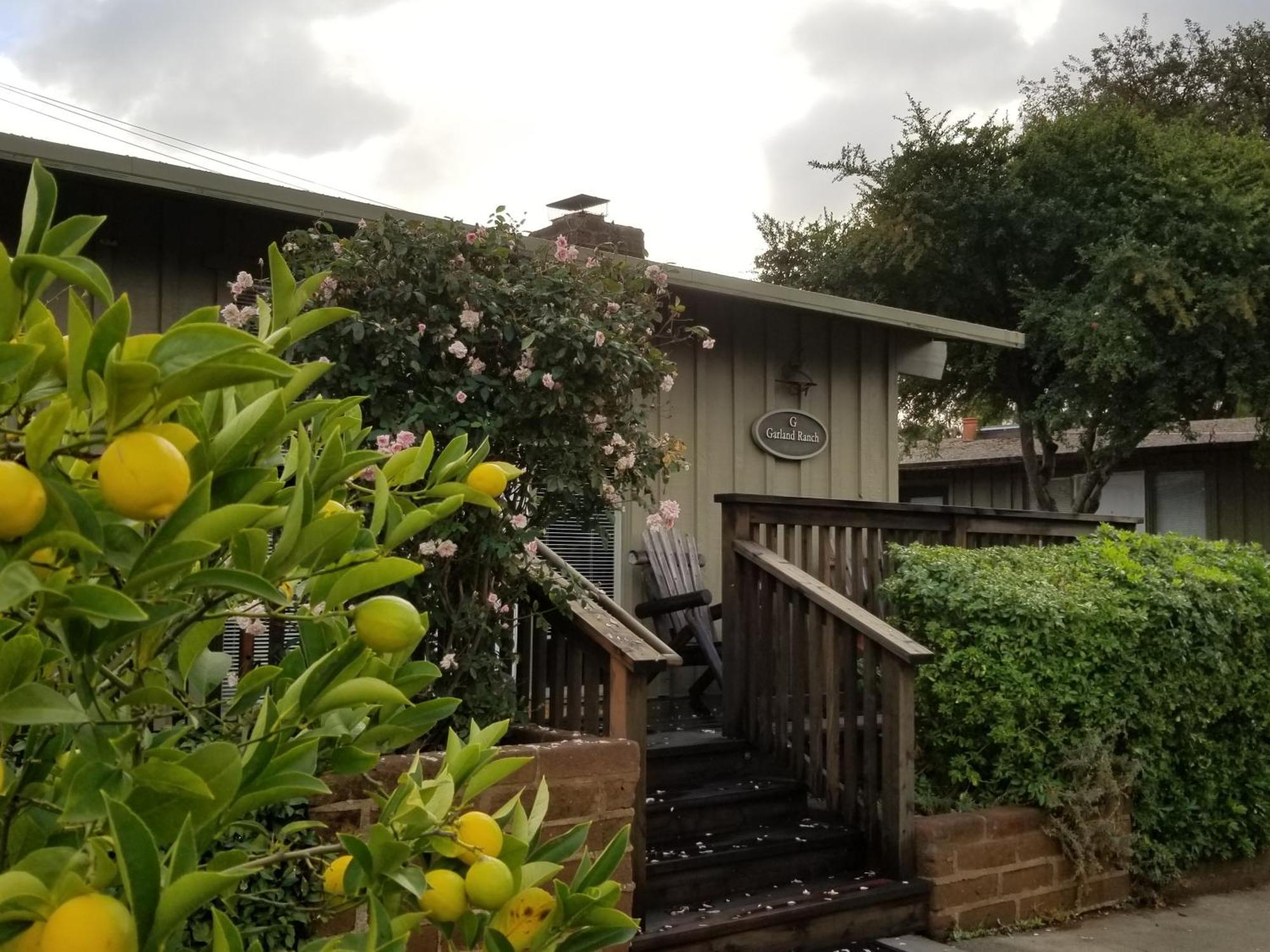 Cottage,1586839082:JPEG