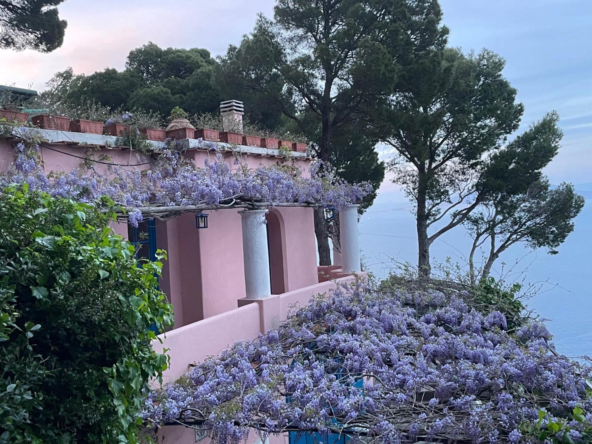 Double Room Garden View