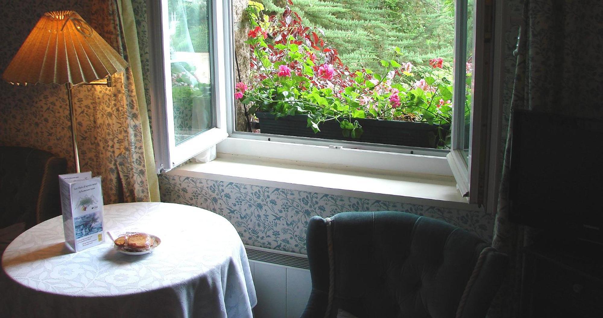 Suite Garden View