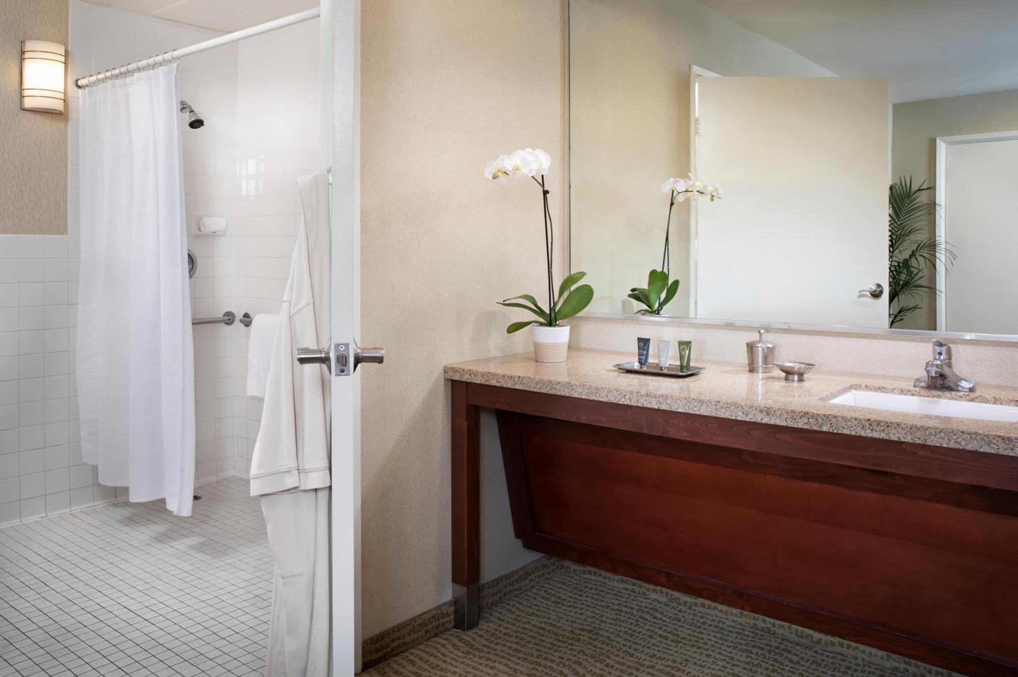 Resort Room 2 Queens Accessible Shower