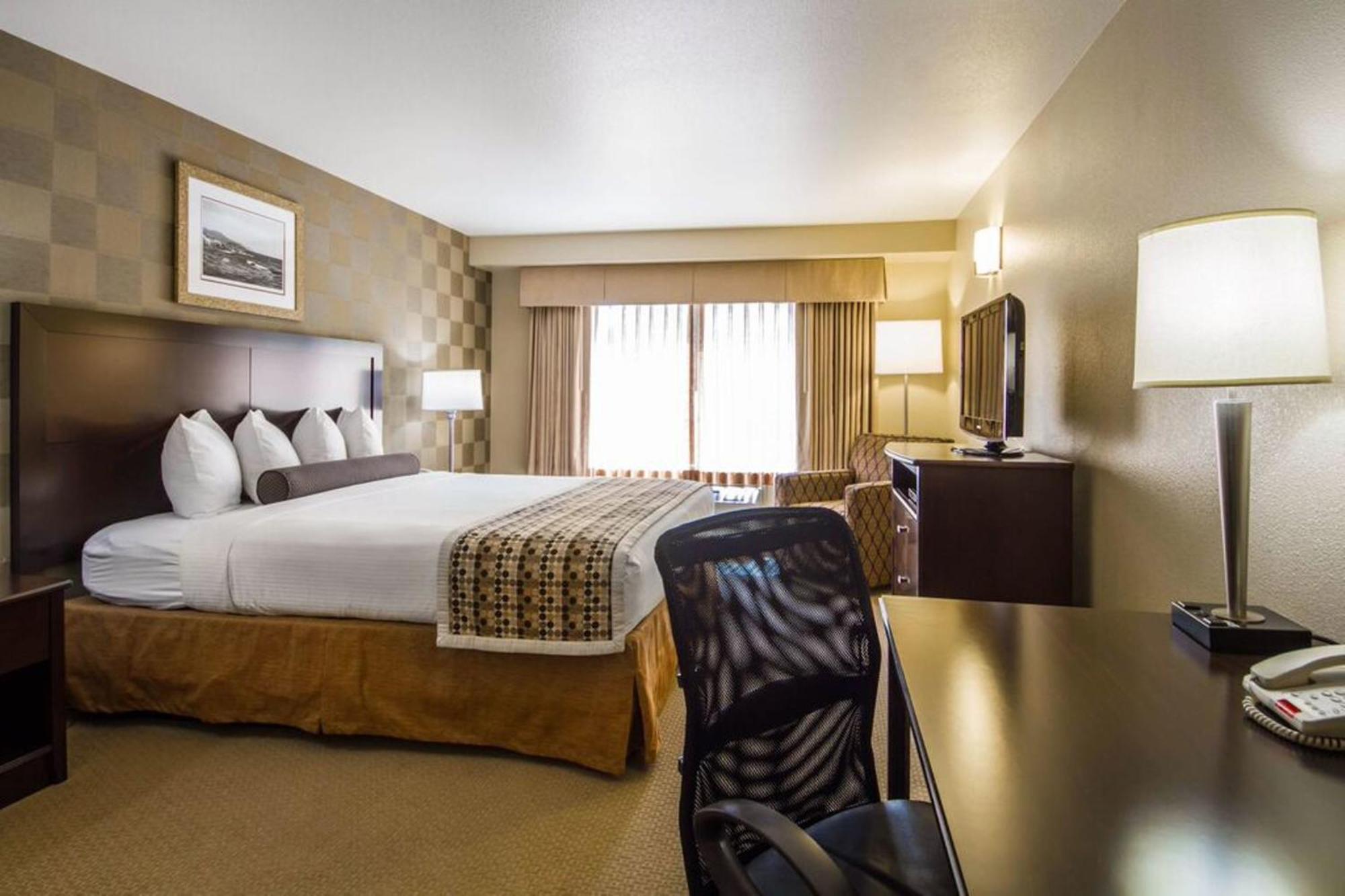 Mini Suite Disability Access