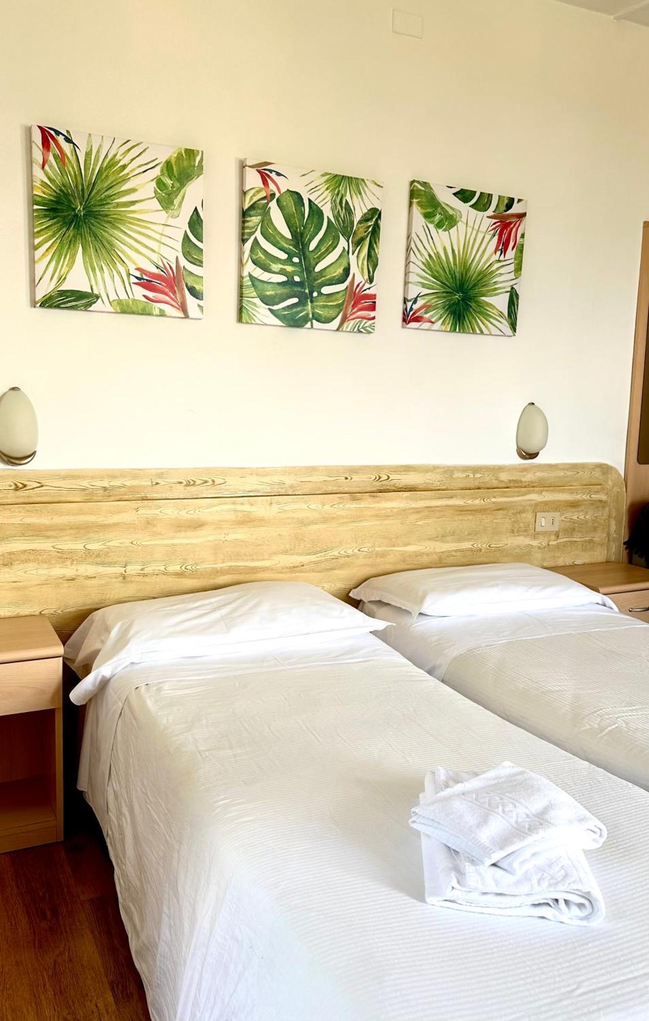 Double or Twin Room Mountain View