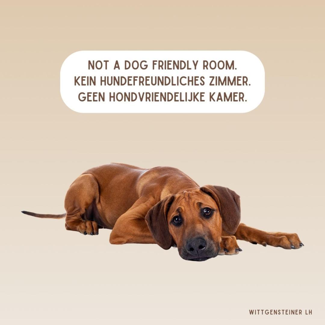 Budget Double Room private bathroom on the hallway no dogs allowed