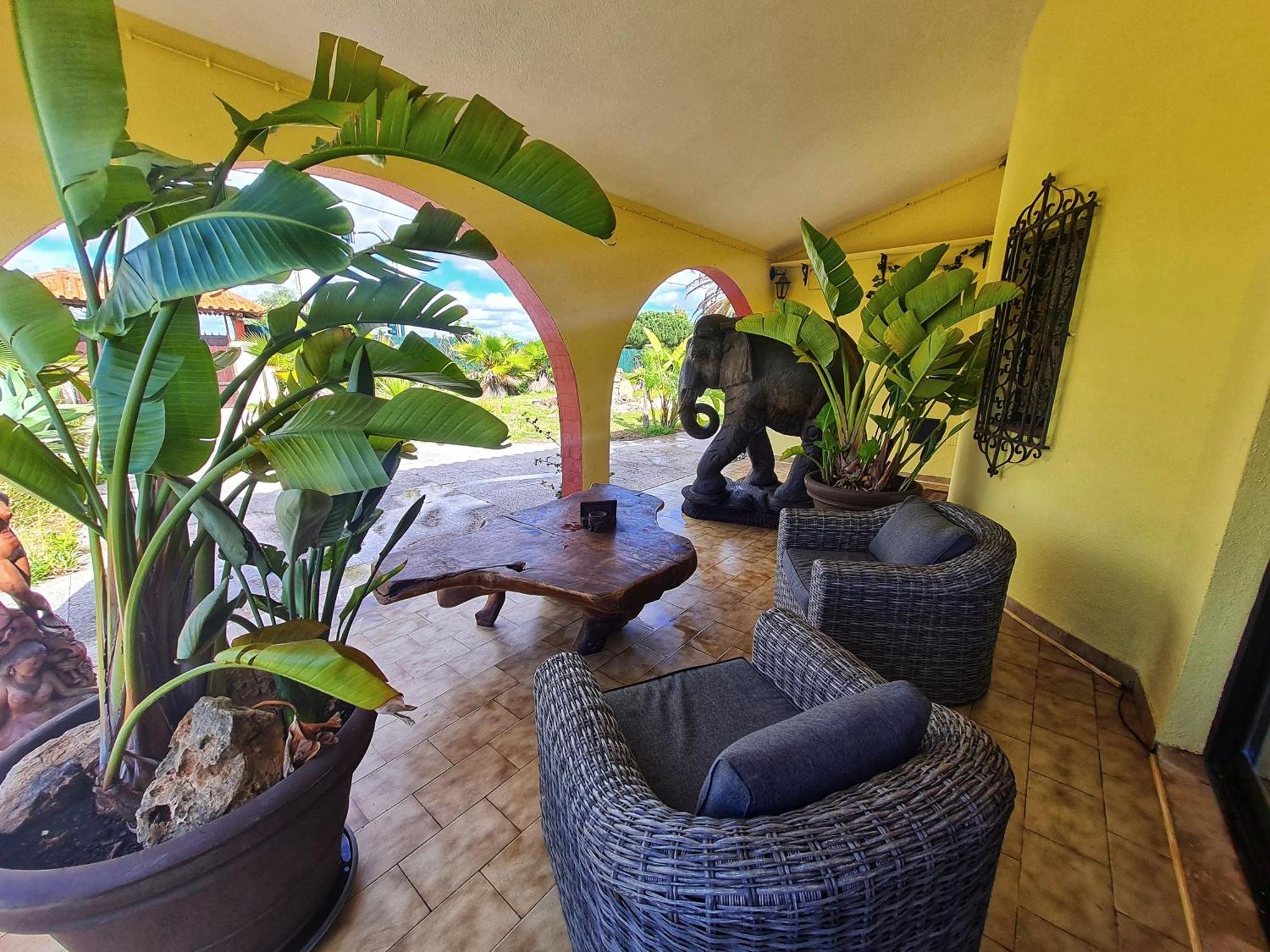 Suite Garden View