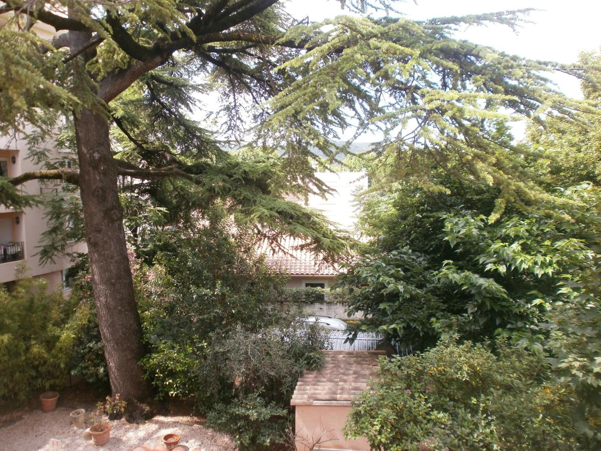 Superior triple Room Garden View