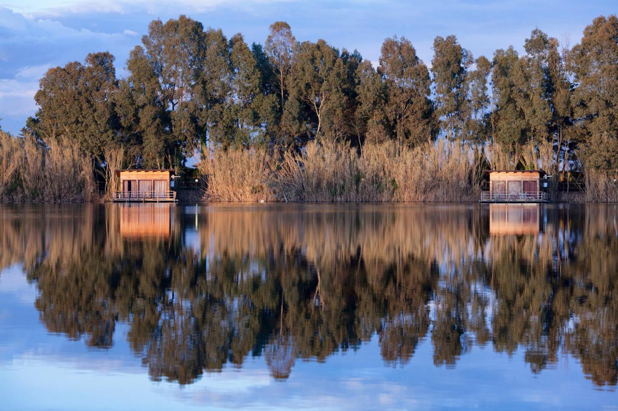 Cottage Lake View