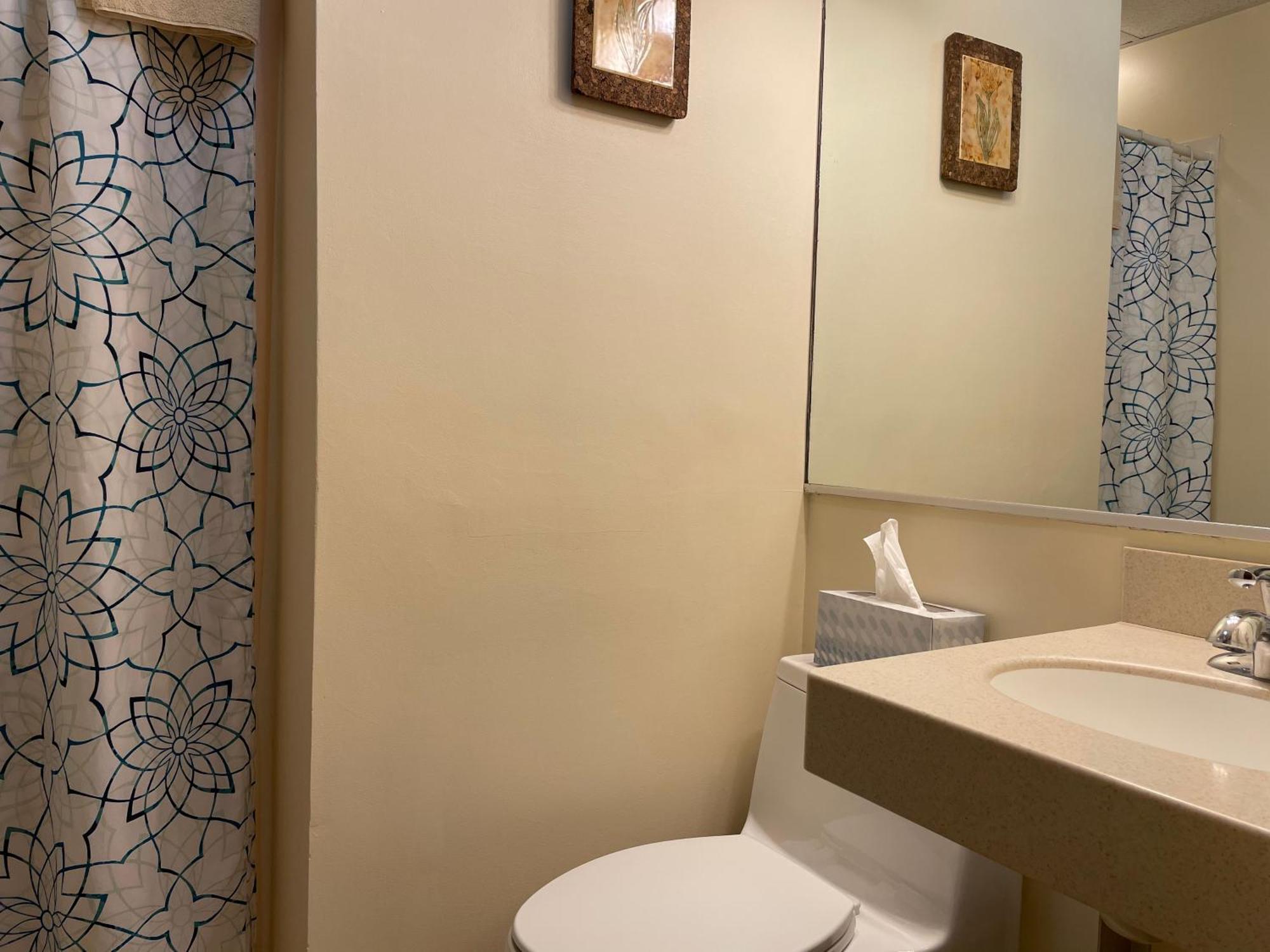 Standard Twin Room Private Bathroom