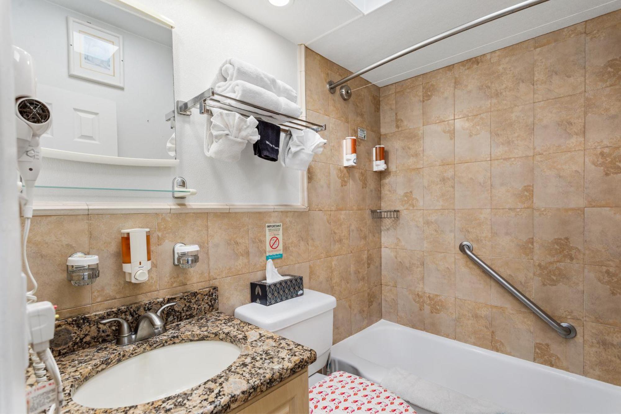 Deluxe One Bedroom Suite 1 Queen Bed 1 Sleeper Sofa