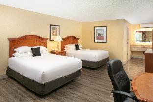 Premium Room 2 California King Beds