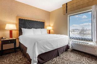 One King Bed One-Bedroom Corner Suite Non-Smoking