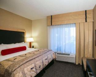 One King Bed One-Bedroom Corner Suite Non-Smoking