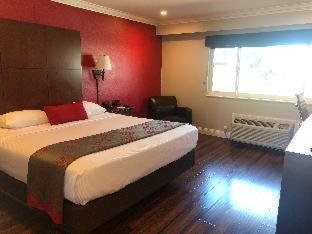 1 King Bed, Mobility Access Room, Stand Up Shower Only w/ Grab Bars, Non-Smoking
