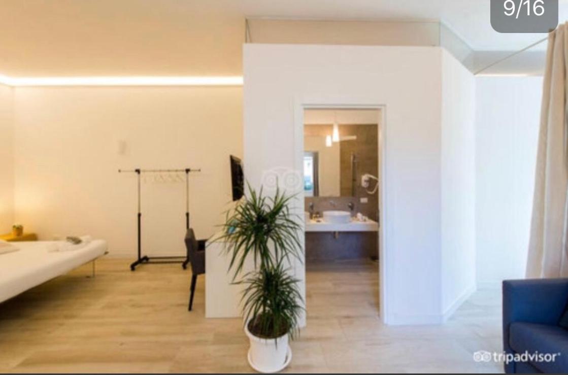 Suite Garden View
