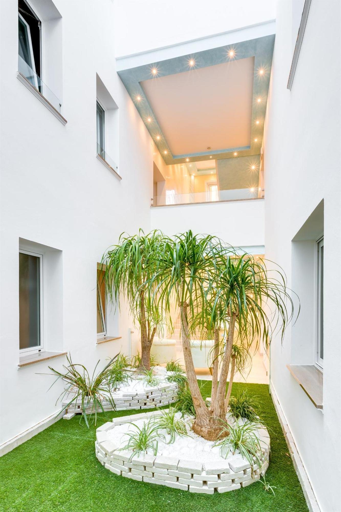 Basic Room indoor winter garden view